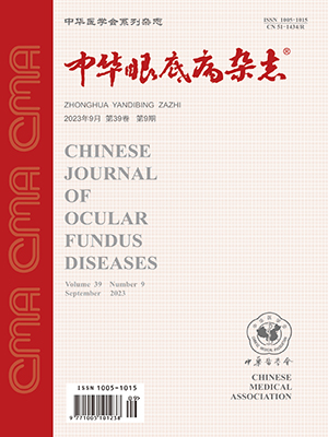 《中華眼底病雜志》