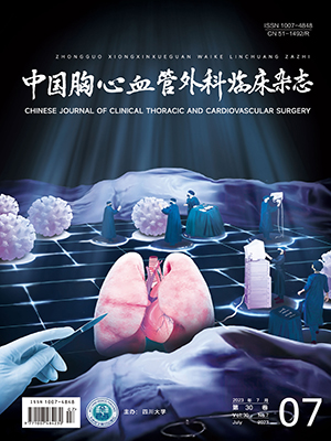 中國胸心血管外科臨床雜志