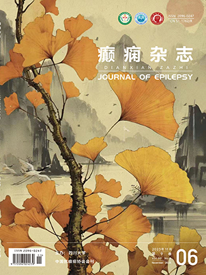 《癲癇雜志》